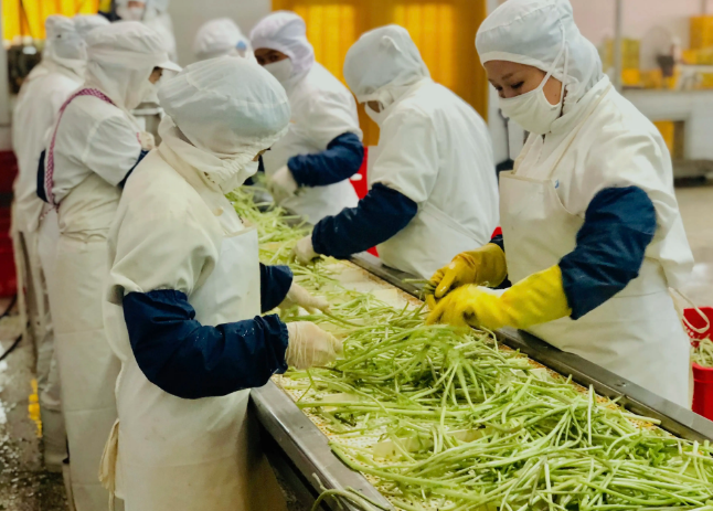 三種食品污水處理設備工藝流程，看看哪種適合您？